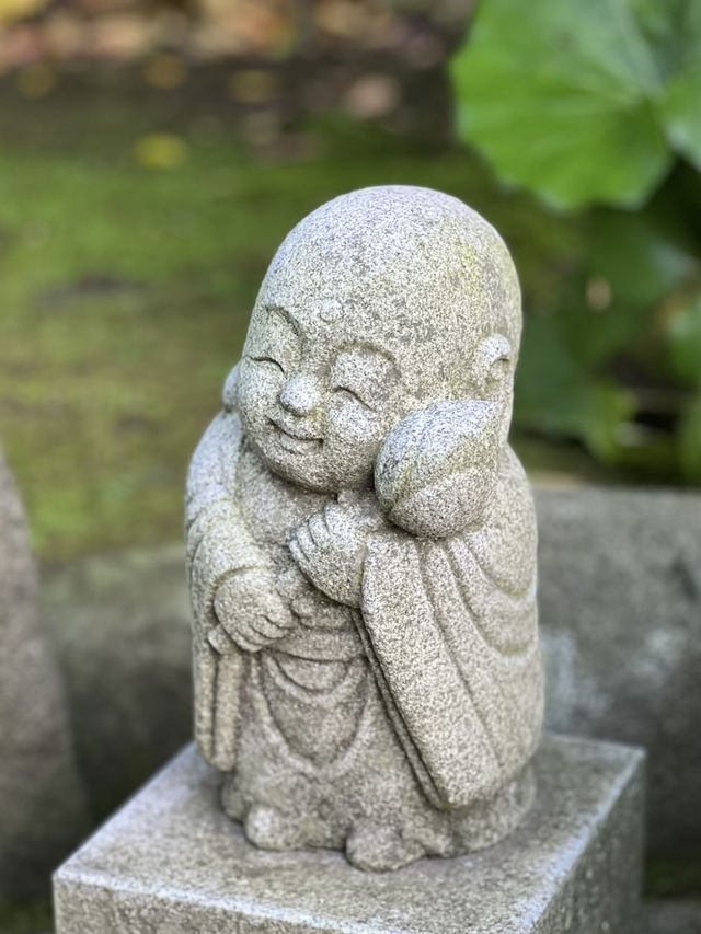 長谷寺才是鐮倉值得來打卡的地方‼️