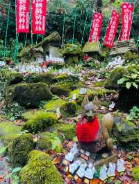 【神奈川県/江ノ電　鎌倉、湘南をお得に満喫できるチケット】
