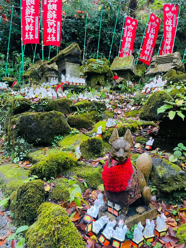 【神奈川県/江ノ電　鎌倉、湘南をお得に満喫できるチケット】