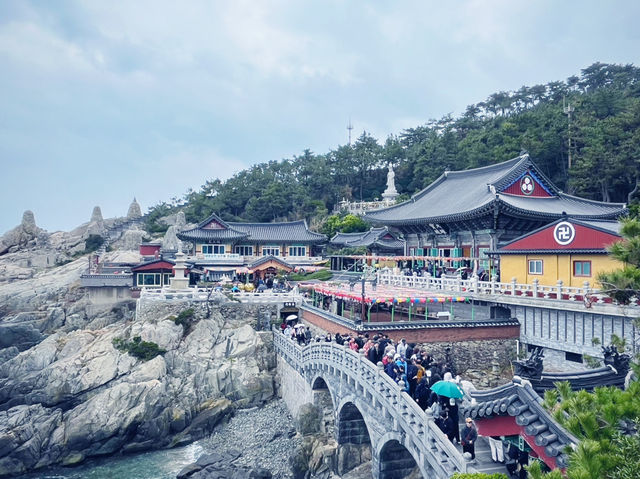 【ひとり旅でも満喫】2泊3日で楽しむ春の釜山🌸✈️