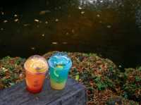 ร้านอาหารสุดชิล Foresta Bangsean 