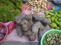เดินเที่ยวตลาดเช้า หาของกิน พระตะบอง
