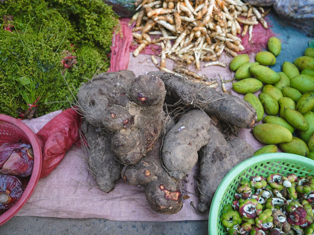 เดินเที่ยวตลาดเช้า หาของกิน พระตะบอง