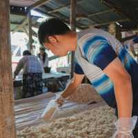 วิธีการทำไวน์ข้าวของคนพระตะบอง 
