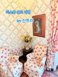 신트라 여행지 추천합니당 !!! 🩷