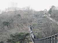 韓國冷門景點超推薦｜愛妓峰交通攻略 週末限定公車 北韓邊境一覽無遺