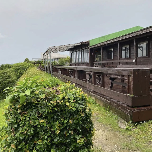 【沖縄】🇯🇵 カフェくるくま