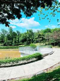 “Nature Reimagined: The Sustainable Soul of Canal Park”