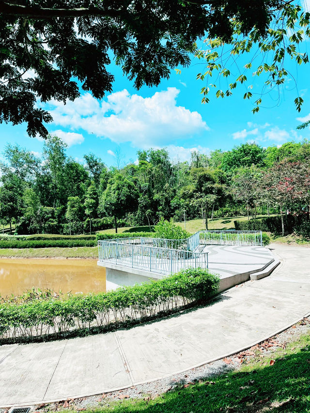 “Nature Reimagined: The Sustainable Soul of Canal Park”