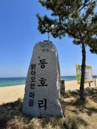 강원도 양양에서 만난 푸른 하루🌊