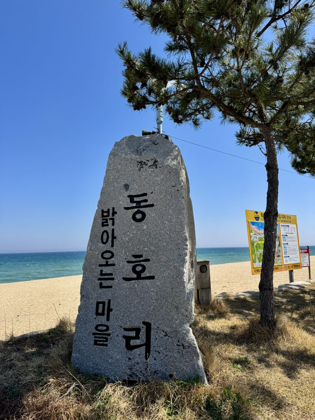 강원도 양양에서 만난 푸른 하루🌊