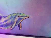 旗津星空隧道：欣賞奇幻色彩壁畫，聆聽海浪的聲音