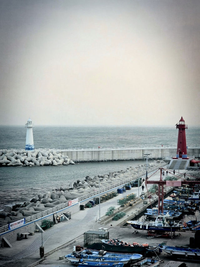 Having Moment in Busan 