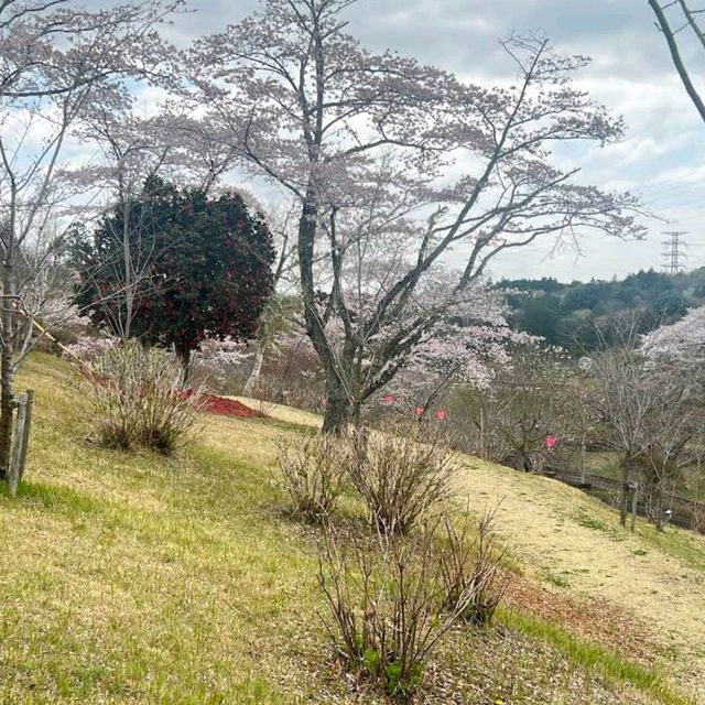 Shizumine Furusato Park, Ibaraki