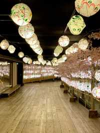 【青森×星野リゾート青森屋】  青森文化を満喫できるお宿