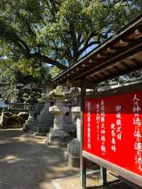 洗滌身心之旅-挑戰最難參拜的神社-金刀比羅宮