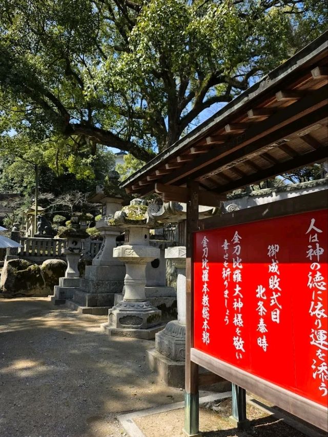 洗滌身心之旅-挑戰最難參拜的神社-金刀比羅宮