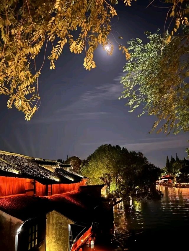 Wuzhen: The Living Dream of a Thousand Years