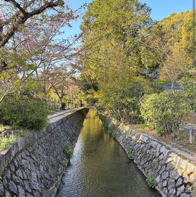 Philosopher's Walk, Kyoto