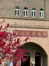 Wuzhou Museum: A Hilltop Cultural Treasure