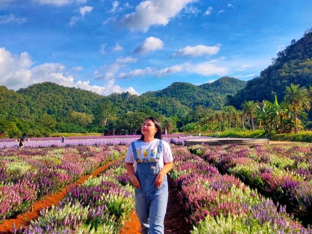 Hokkaido Flower Park Khaoyai