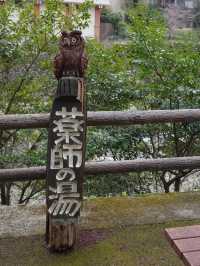 📍 川治温泉薬師の湯キャンプ場/栃木