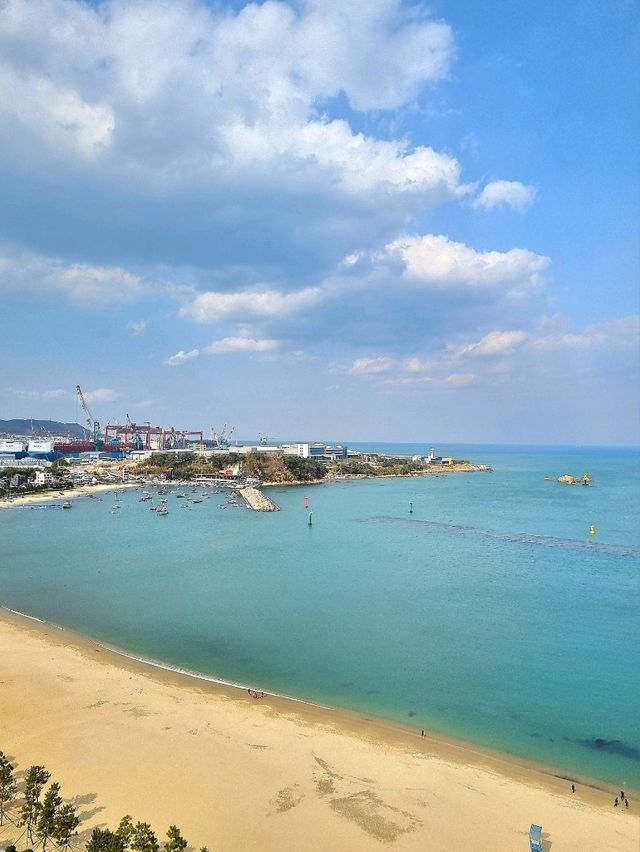 온돌방이 있는 오션뷰 4성급 호텔🌊