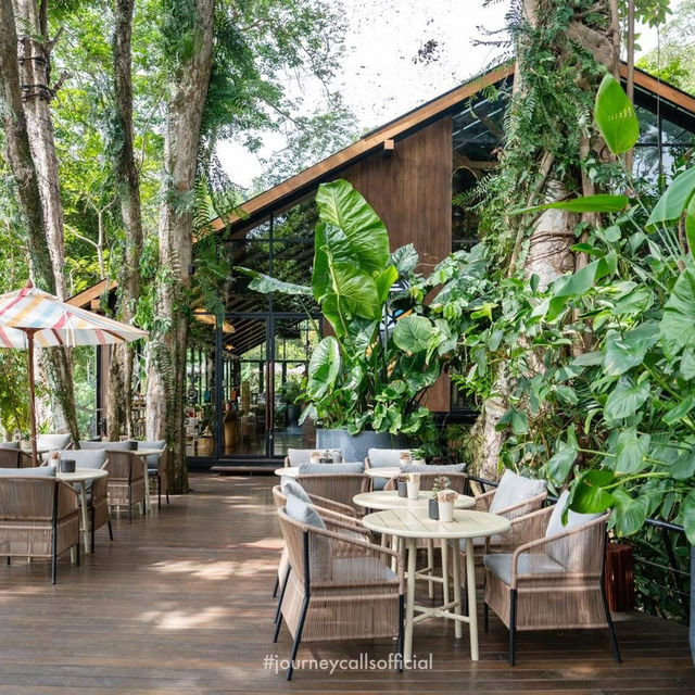 คาเฟ่ภูเก็ตในพงไพร กิจกรรมแน่น !!!