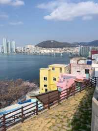 Coastal Sakura & Café Vibes: A Perfect Spring Day in Busan’s Yeongdo-gu! 