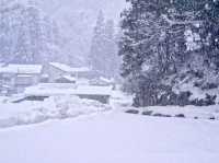 Snowflakes, Lanterns & Surprises — My Winter Escape to Joetsu-Takada