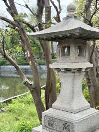 Spring Walk at Himonya Itsukushima-jinja Shrine