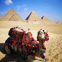 A Solo Adventurer’s Guide to Egypt: One Week of Pyramids, Pharaohs, and the Nile