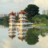 Nature’s Hidden Gem: A Stroll Through Jurong Lake Gardens 🇸🇬