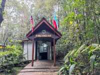 Kinabalu’s Secret Garden: Where Flowers Are Louder Than Tourists!"🌸🌿