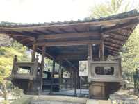【覚王山】昭和初期に建てられた揚輝荘を見学しよう！