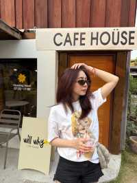 willwhy cafe house 💛 คาเฟ่ย่านตลาดหนองดอก จ.ลำพูน