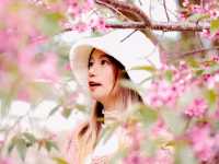 สวนลุงเปา ขุนวาง เชียงใหม่