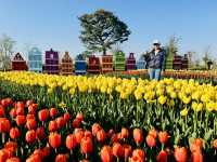 Play, Pets & Plants—Pyeongtaek Fun!