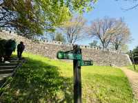 Hike Through The Magic of Hanyangdoseong