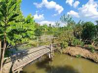 Exploring Bentong Ginger Farm: Pahang’s Spicy Agri-Tourism Gem