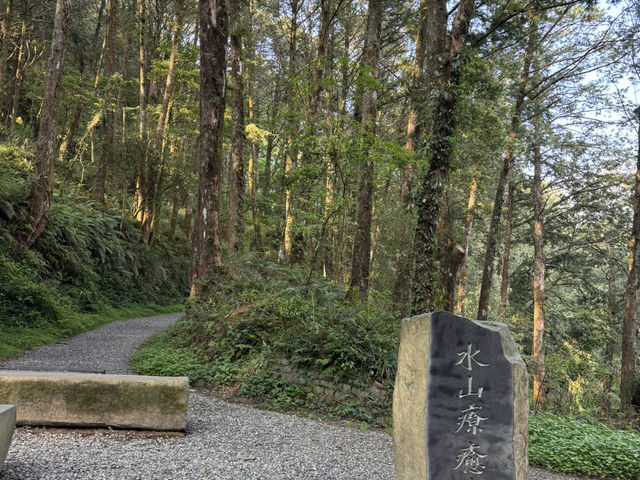 阿里山自助2天1夜超順行程分享！🌄🚂