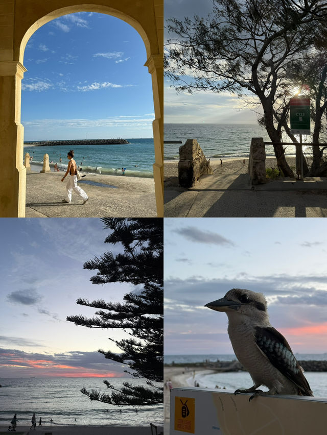 9 พิกัดเที่ยวเมือง Perth, Australia🦘🐨🇦🇺 