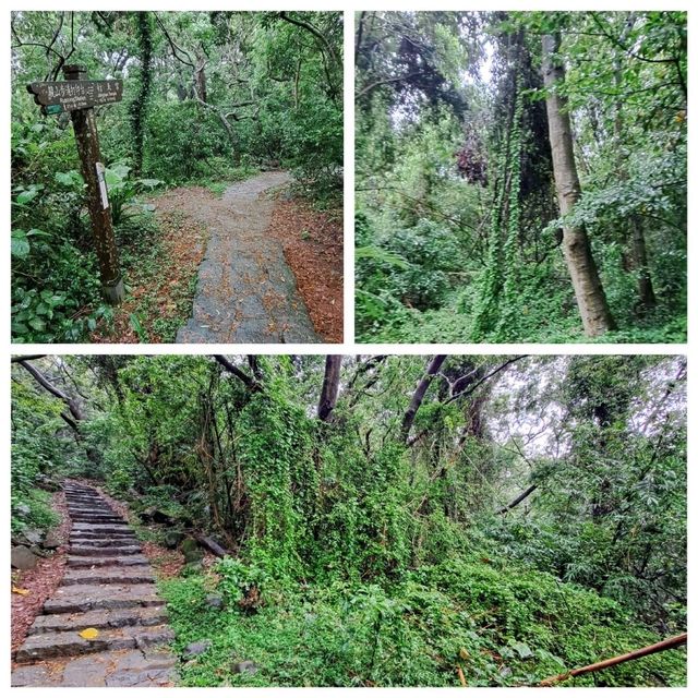 造訪忠義山步道，順遊北投行天宮