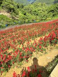 3-day itinerary to Cebu & Tacloban