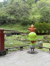 桃園石門水庫 槭林公園吸收芬多精～綠蔭蔥蔥 欣賞湖光山色