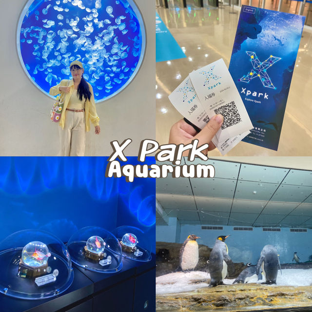 X Park Aquarium 