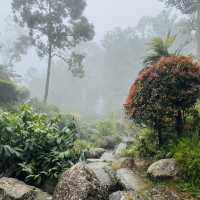Where Stone Bridges Meet Storybook Gardens