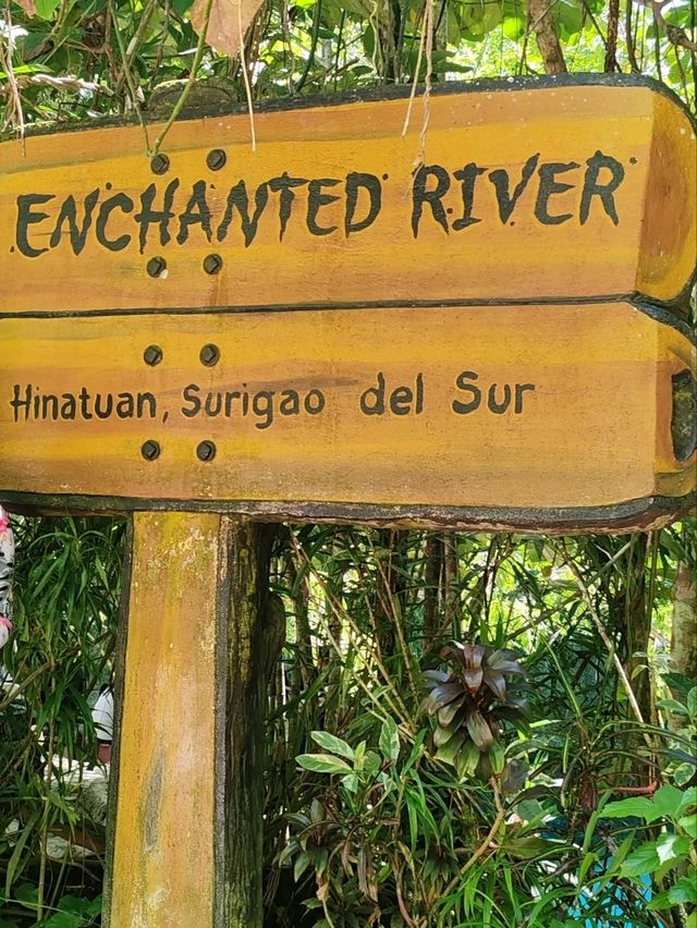 AMAZING ENCHANTED RIVER 