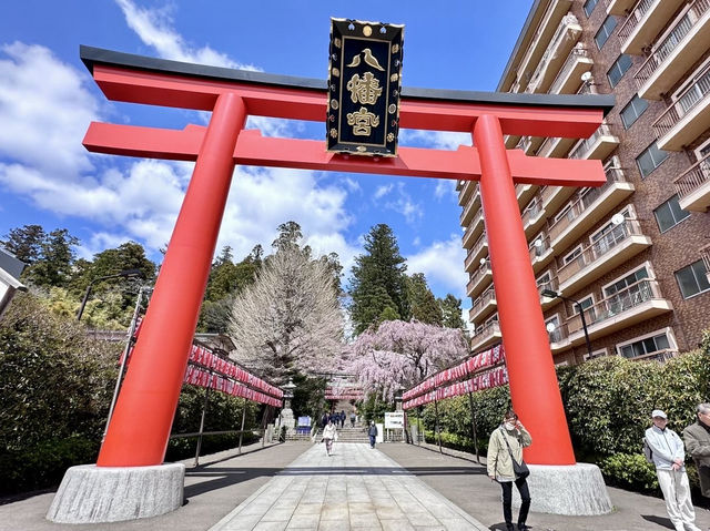 🇯🇵 仙台的歷史和賞櫻之旅