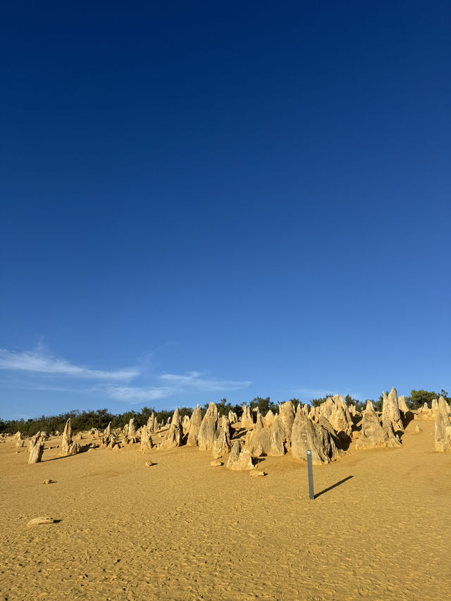 Pinnacle of our trip - The pinnacles in perth! ⛰️